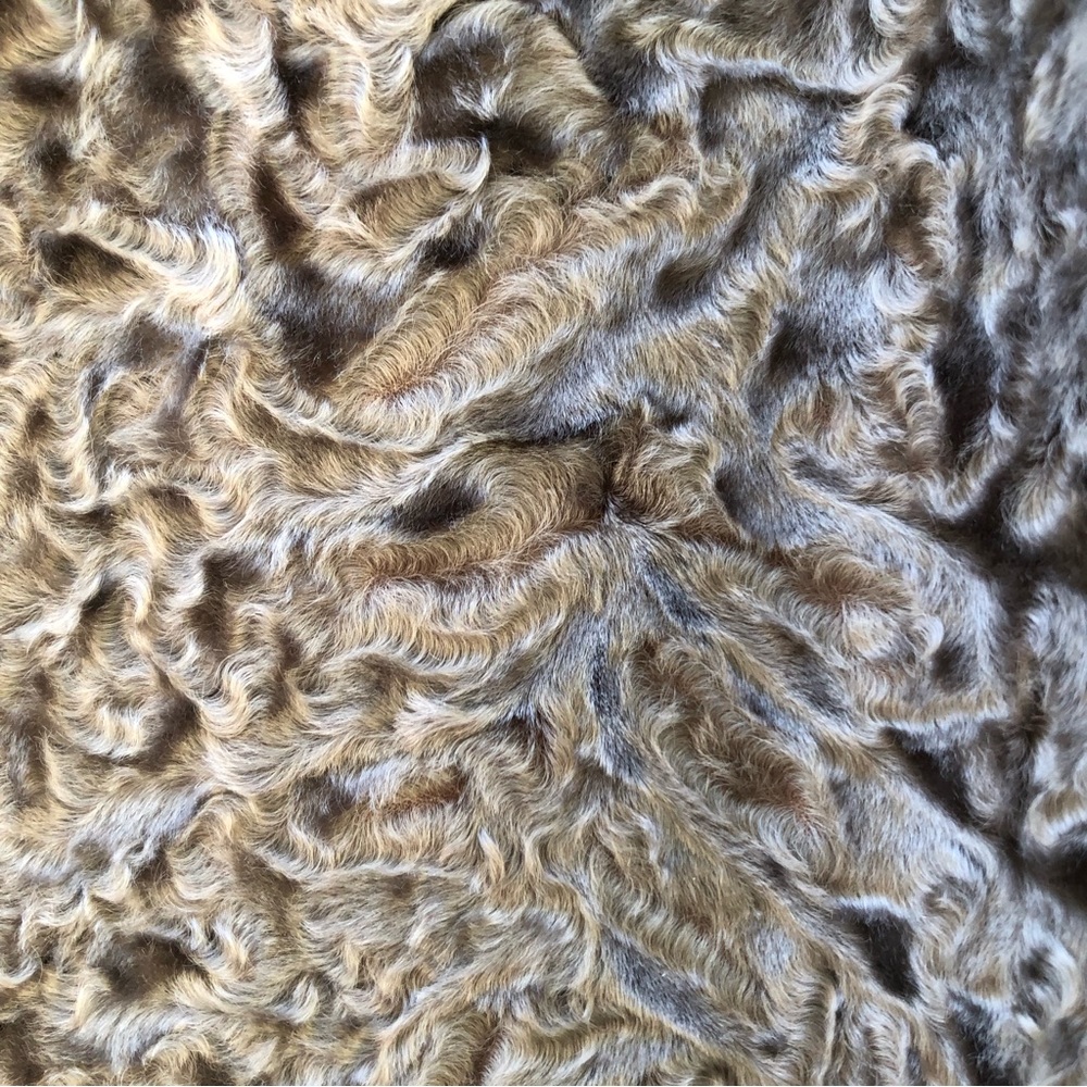 Elegant Brown Fur-Trimmed Women's Coat - Picture 14 of 14